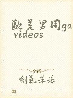 欧美男同gay videos
