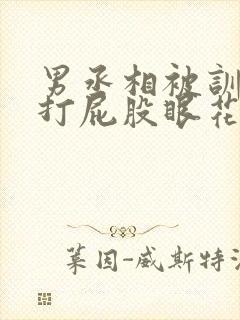 男丞相被训诫狠打屁股眼花小说封面