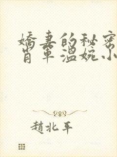 娇妻的秘密白柔肖军温婉小说结局