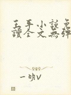 王平小说免费阅读全文无弹窗封面