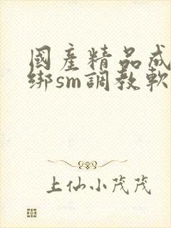 国产精品成人捆绑sm调教软件封面