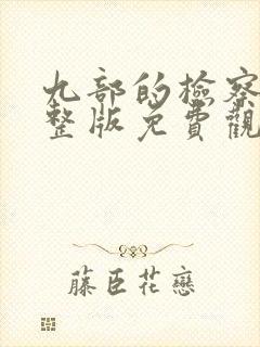 九部的检察官完整版免费观看全集封面