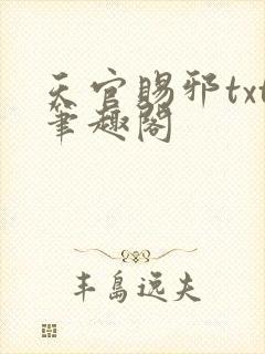 天官赐邪txt笔趣阁封面