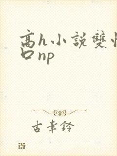 高h小说双性重口np