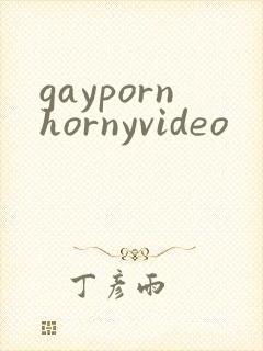 gaypornhornyvideo