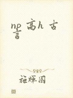 np 高h 古言