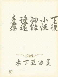 产后胸小下垂干瘪还能恢复吗