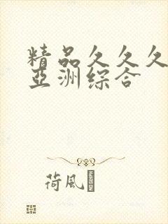 精品久久久久久亚洲综合
