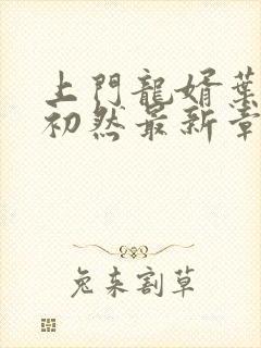 上门龙婿叶辰萧初然最新章节列表