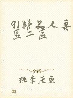 91精品人妻一区二区封面