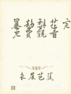 暴劫梨花完整版免费观看