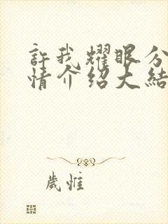 许我耀眼分集剧情介绍大结局