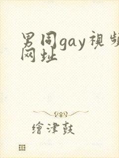 男同gay视频网址封面