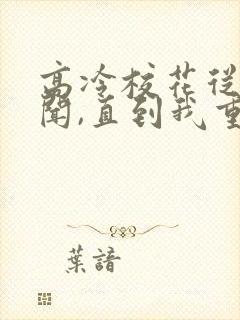 高冷校花从无绯闻,直到我重生免费下载全本封面