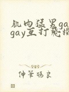 肌肉猛男gaygay互打飞机封面