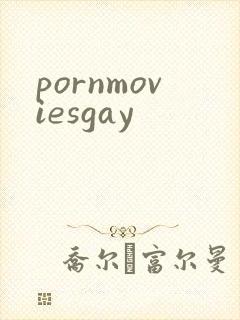 pornmoviesgay封面