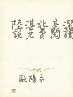 陆湛北辛澜的小说免费阅读