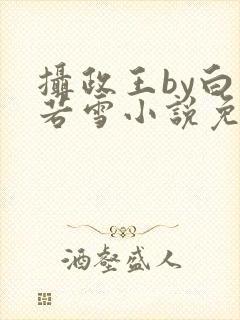 摄政王by白衣若雪小说免费阅读