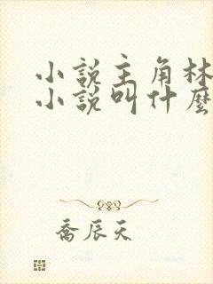 小说主角林辰的小说叫什么