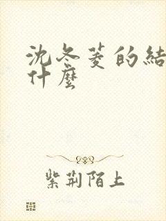 沈冬菱的结局是什么