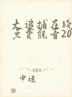 大追捕在线完整免费观看20集