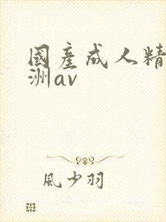 国产成人精品亚洲av