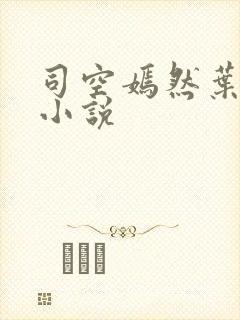 司空嫣然叶凡的小说