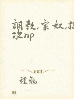 调教,家奴,总攻np