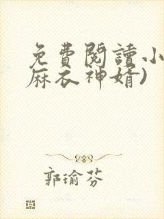 免费阅读小说(麻衣神婿)