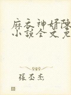 麻衣神婿陈黄皮小说全文免费阅读