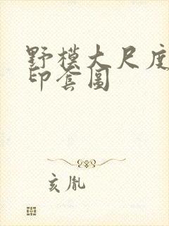 野模大尺度无水印套图封面