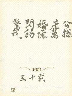 惊闪婚老公竟是我的亿万总裁封面
