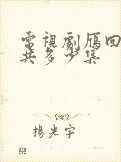 电视剧雁回时一共多少集