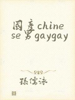 国产chinese男gaygay封面