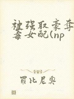被强取豪夺的恶毒女配(np