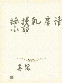 抚摸乳房情节的小说