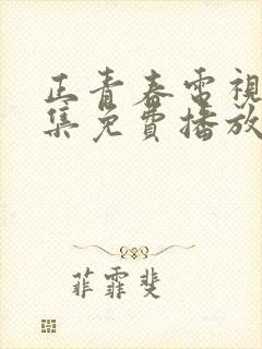 正青春电视剧全集免费播放高清版