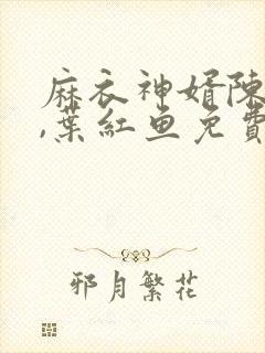 麻衣神婿陈黄皮,叶红鱼免费听书封面