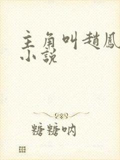 主角叫赵凤生的小说