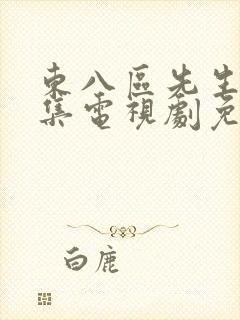 东八区先生40集电视剧免费看全集