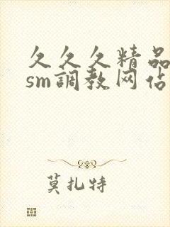 久久久精品国产sm调教网站女