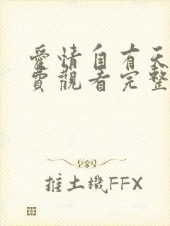 爱情自有天意免费观看完整版高清