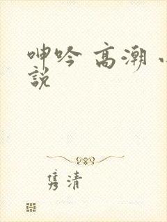 呻吟 高潮 小说封面