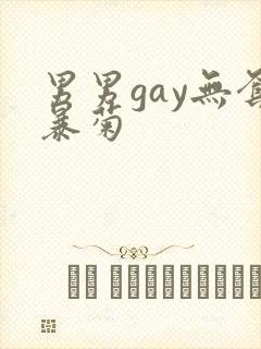 男男gay无套暴菊