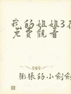 我的姐姐3在线免费观看封面