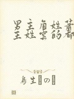 男主角姓萧的女主姓云的都市小说
