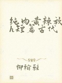 纯肉黄辣放荡高h短篇古代