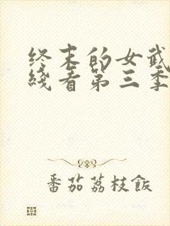 终末的女武神在线看第三季全集