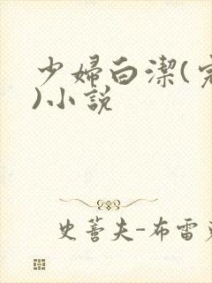 少妇白洁(完整)小说