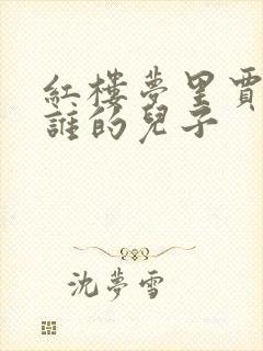 红楼梦里贾兰是谁的儿子封面